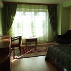 Стандартный двухместный номер с 1 кроватью в отеле «Паллада», Москва