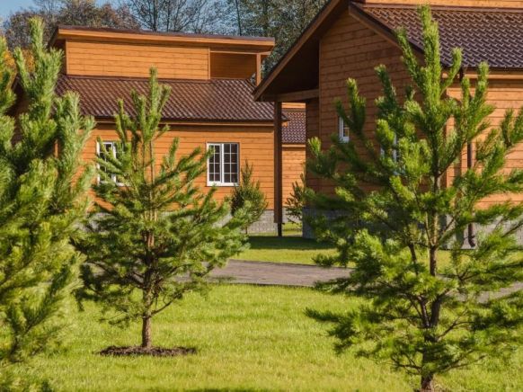 Фотография номера гостевого дома Золотые Караси