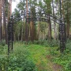 Наш лес около парк-отеля