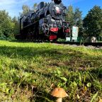Сезон грибов 2025 в парк-отеле