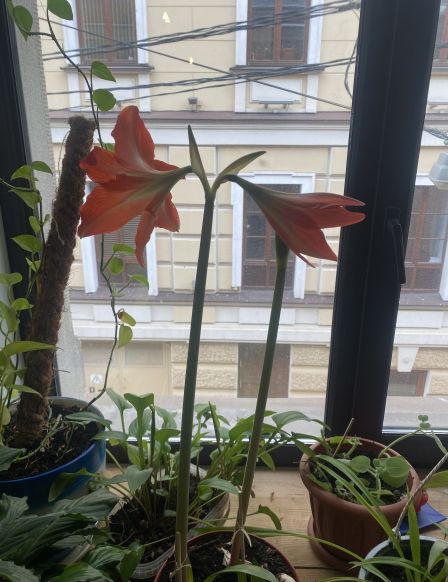 Фотография номера гостиницы Baltic Boutique Hotel