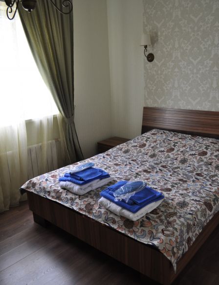 Фотография номера мини отеля Деловой визит