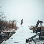 Номер (Бунгало), Кемпинг Домик на дереве