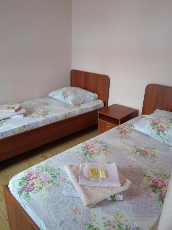 Двухместный (Бюджетный двухместный номер с 1 кроватью) гостиницы У Тополей, Тольятти