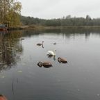 Номер (Дом с 3 спальнями), Гостевой дом Белькино 1