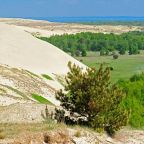 Номер (Дом с 3 спальнями), Отель Otdykh Na Kurshskoy Kose