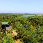 Номер (Дом с 3 спальнями), Отель Otdykh Na Kurshskoy Kose