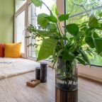 Студио (Family Studio), Апарт-отель Джулиата Июль