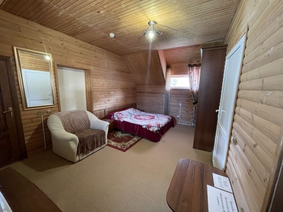 Фотография номера гостиницы Орион