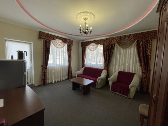 Фотография номера гостиницы Орион