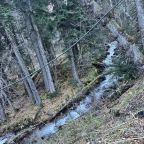 Четырехместный (Стандартный четырехместный номер), Гостиница Алибек