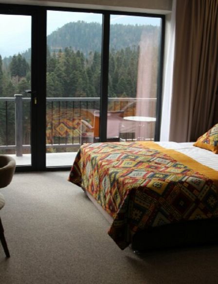 Фотография номера гостевого дома Chalet FoRRest