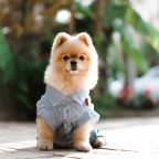 Допускается размещение только собак небольших пород, Отель Вилла Дежа Вю