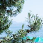 Курортный отель «Морской уголок», г. Алушта