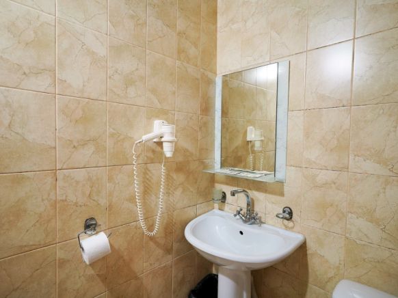 Фотография номера гостиницы Мечта