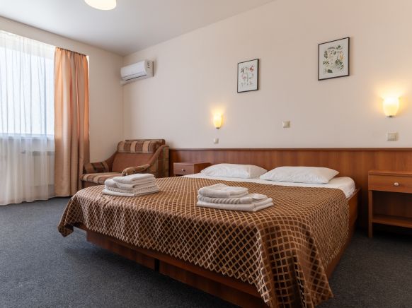 Фотография номера гостиницы Одеон