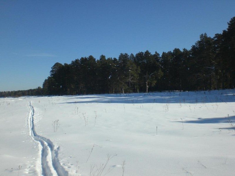 Ветлуга Нижегородская Область Знакомства