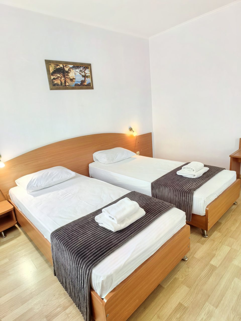 Двухместный (Стандарт), Гостевой дом Лидия