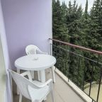 Двухместный (Стандарт), Пансионат Лидия