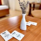 Двухместный (Стандарт), Пансионат Лидия