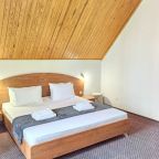 Трехместный (Двухкомнатный полулюкс), Пансионат Лидия