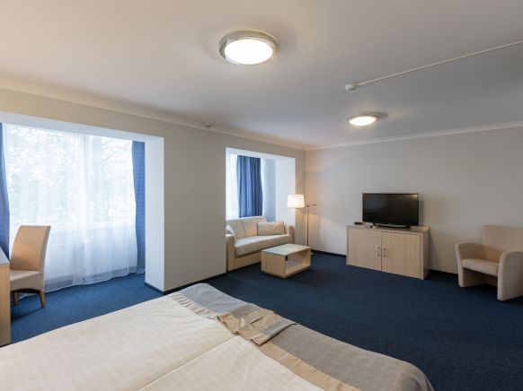 Фотография номера гостиницы Атлантика