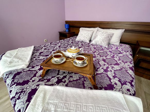 Фотография номера гостиницы Золотой Лев