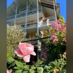 Двухместный (Двухместный номер с видом и дополнительным креслом-кроватью), Гостевой дом Желтый Дом