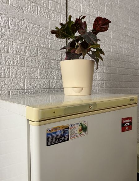 Фотография номера хостела FreeLife