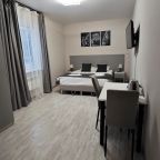 Двухместный классический номер в современном стиле