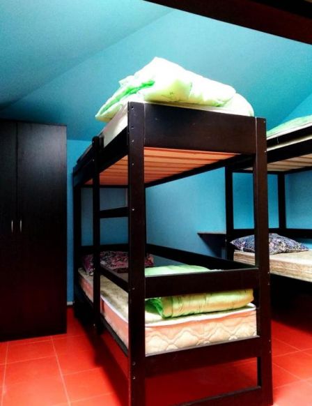 Фотография номера хостела Вежливый Лось на Седова