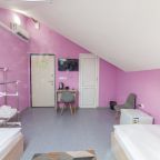 Двухместный (С 1 кроватью или 2 отдельными кроватями), Отель Бирюза