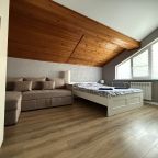 Апартаменты (Стандартные), Апартаменты SP Apart Lenina