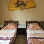 Двухместный (Двухместный номер Делюкс с 1 кроватью или 2 отдельными кроватями), Гостиница Villa Victoriya