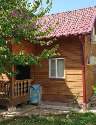 Кипарис, Агой