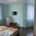 Двухместный (Двухместный номер с 2 отдельными кроватями), Гостевой дом Некрасовка