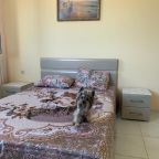 Двухместный (Двухместный номер с 1 кроватью), Гостевой дом Некрасовка