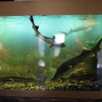 Бар, Гостевой дом Семейная Усадьба Астрахань