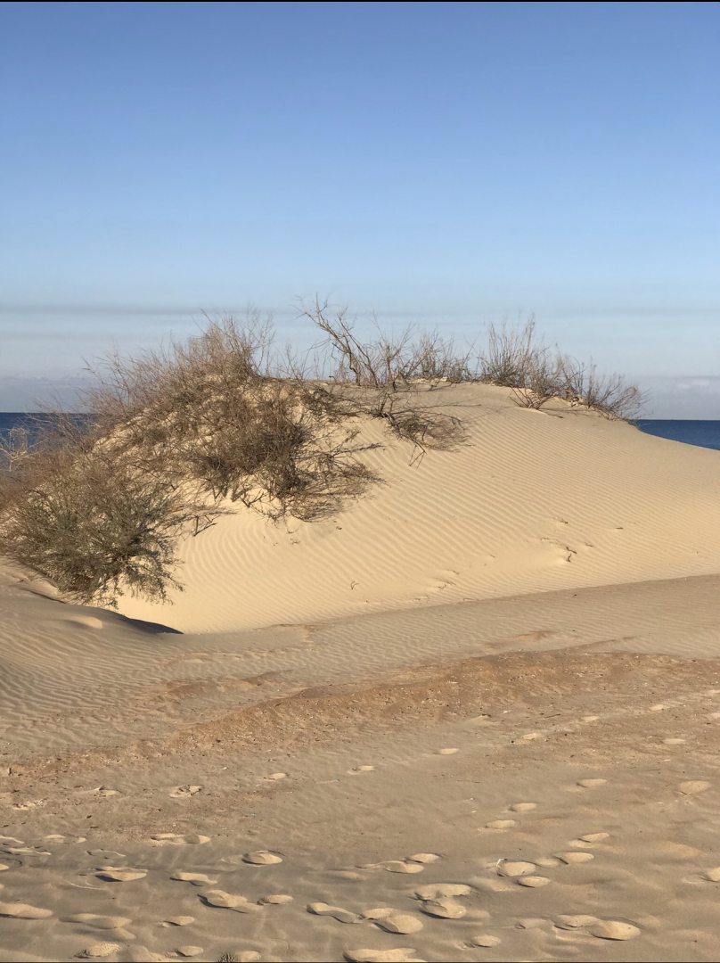 Песчаный пляж, Гостевой дом Гранат
