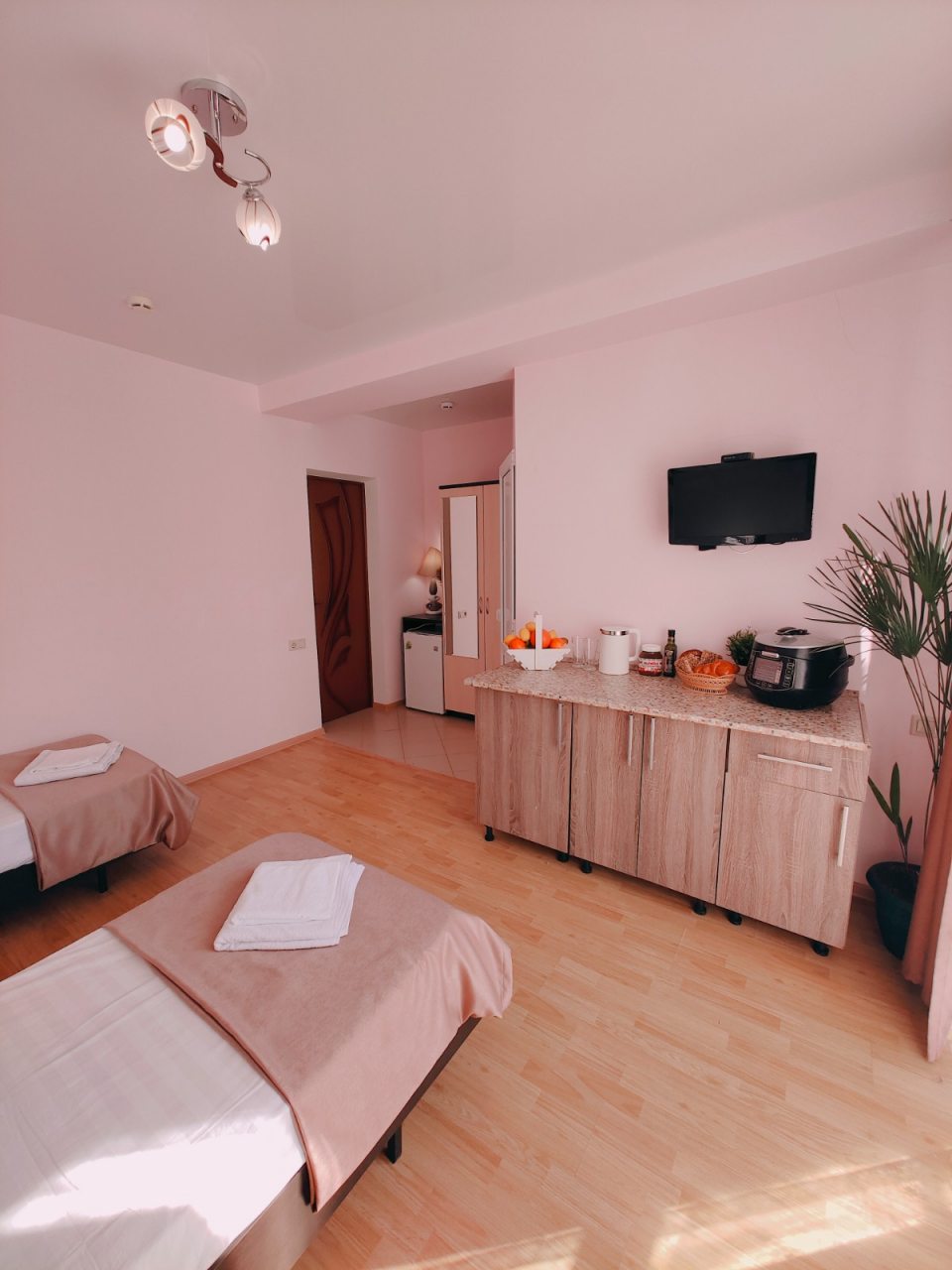 Студио (Двухместная с кухней), Гостевой дом Дива