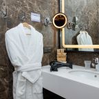 Двухместный (Представительский номер с 1 кроватью), Отель Mercure