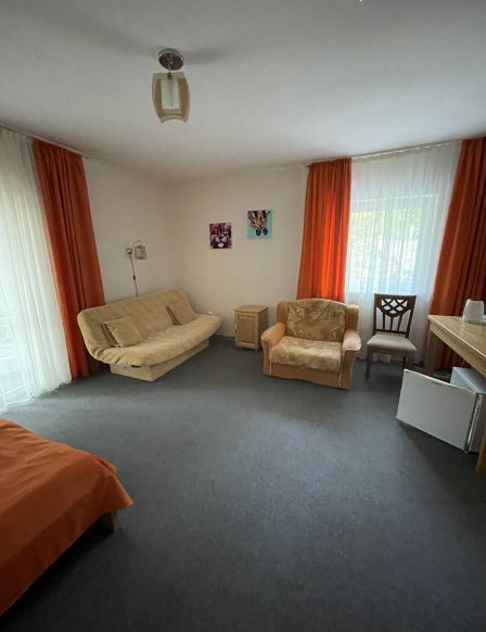 Фотография номера мини отеля Зеленый Дом