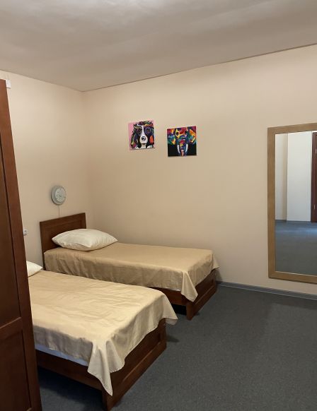 Фотография номера мини отеля Зеленый Дом