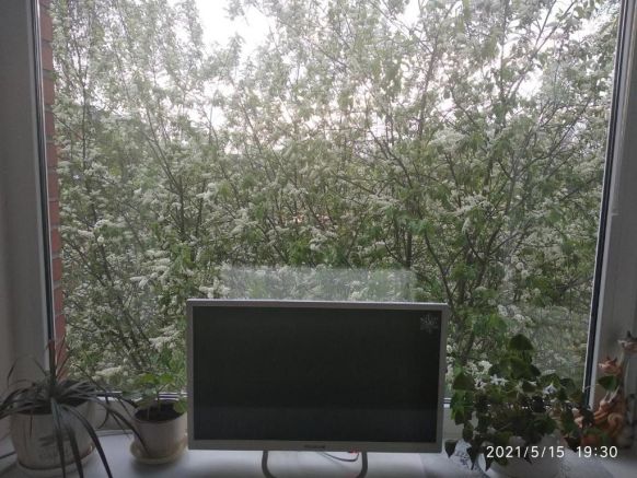 Семейный отель Комната на Бородачева