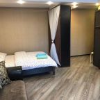 Апартаменты (Апартаменты), Апартаменты Apartment on prospekt Chaykovskogo 26