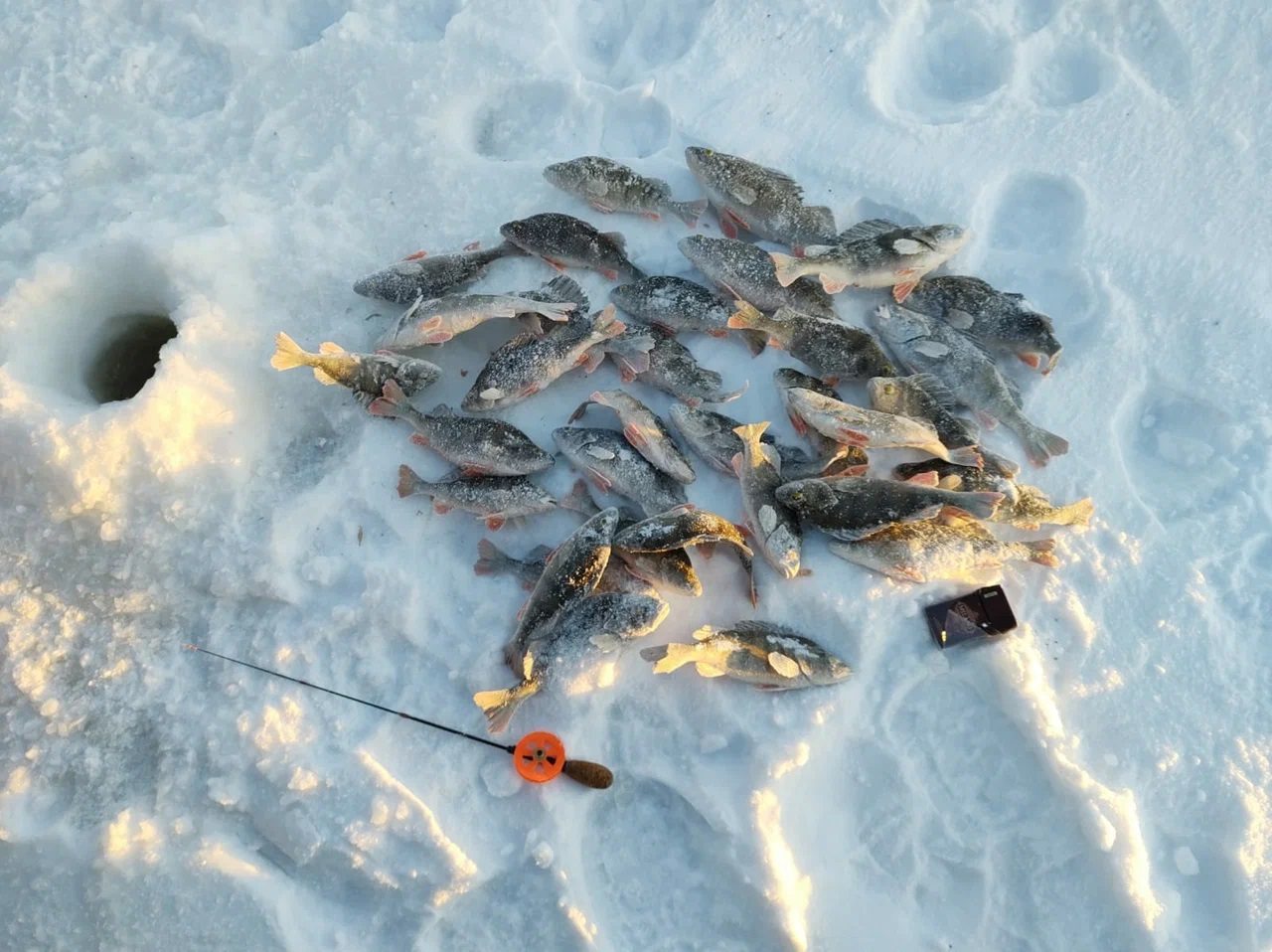 Новый год 2026 на Рыбинском водохранилище На Чеснаве, Гостевой дом На Чеснаве