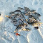 Отдых на Рыбинском водохранилище