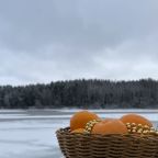 Отдых на Рыбинском водохранилище