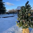 Отдых на Рыбинском водохранилище