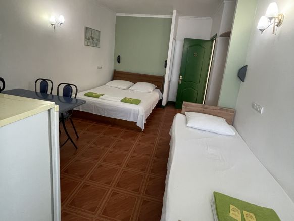 Фотография номера мини отеля Тополя